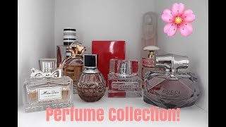 Perfume Collection Updated  All Of My Fragrances [upl. by Phelgon]