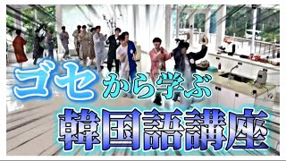 【セブチ】ゴセから学ぶ韓国語講座‼️学べない [upl. by Emlin]