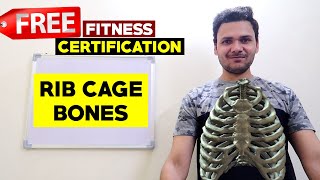 RIB CAGE BONES ANATOMY  FREE FITNESS CERTIFICATION  HINDI [upl. by Carrol]