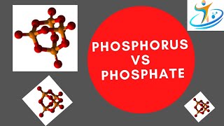 Phosphorus vs Phosphate [upl. by Onitsoga]