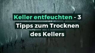 Keller entfeuchten  3 Tipps zum Trocknen des Kellers [upl. by Eba510]