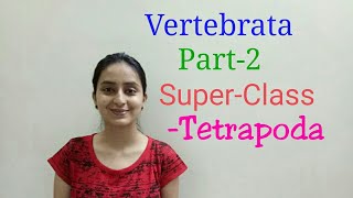 Tetrapoda  Vertebrata  Biological classification part 23  Class XILecture 51 [upl. by Hallette]