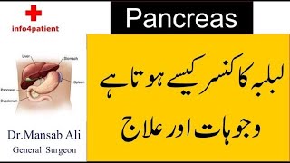 Lablaba  Pancreas Cancer Healthy With Dr Mansab Ali [upl. by Okajima648]