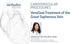 VenaSeal Treatment of the Great Saphenous Vein [upl. by Akinod354]