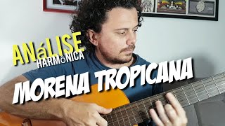 Morena Tropicana  Análise Harmônica [upl. by Eluj]