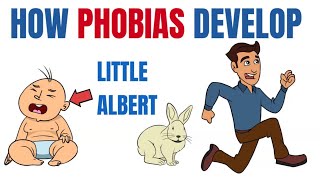 How phobias develop  What Little Albert taught us [upl. by Nos616]