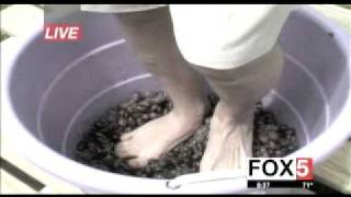 Grape Stomping with Guster [upl. by Hgielsa]