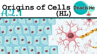 A21  Origins Of Cells  IB Biology HL [upl. by Ainattirb]