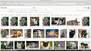 ScreencastTutorial zur Google Bildersuche [upl. by Ainod]