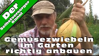 Gemüsezwiebeln im Garten richtig anbauen [upl. by Sirahc]