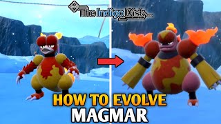 How To Evolve Magmar Into Magmortar In Pokemon Scarlet amp Violet  The Indigo Disk DLC  Magmarizer [upl. by Socin]