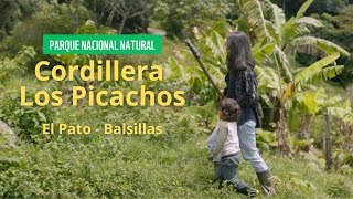 Áreas Protegidas amp Paz  LOS PICACHOS El Pato Balsillas [upl. by Anidene]