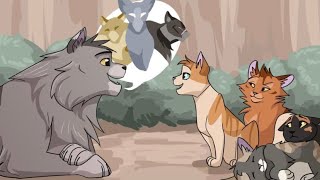 Warrior Cats Who Had The Most Kits [upl. by Anima]