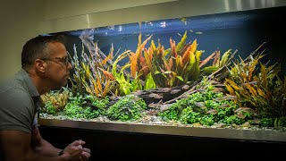 Aquascaping and ADHD [upl. by Swane]