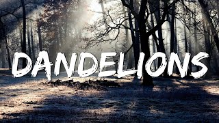 Dandelions  Ruth B Lyrics  Shawn Mendes Calvin Harris Dua Lipa MixLyrics [upl. by Lorimer]