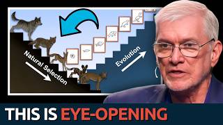 DISMANTLING Atheists’ Top Objections to the Bible  Ken Ham [upl. by Attenreb]