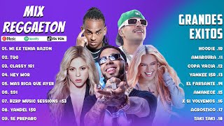 Mix Reggaeton 2023  Karol G Shakira Feid Ozuna Anuel AA  Lo Mas Nuevo 2023  Lo Mas Sonado [upl. by Claybourne]