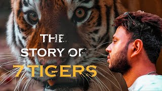 THE STORY OF 7 TIGERS  SANJAY DUBRI TIGER RESERVE  PENCH TIGER RESERVE  STORY OF MAUSI MAA [upl. by Byrann115]