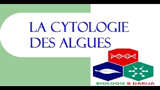 cours biologie végétale partie 3 cytologie des algues [upl. by Iasi]