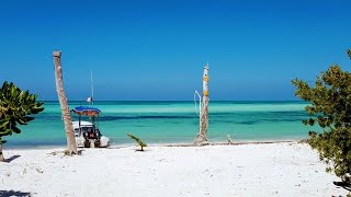 Cozumel Mexico Excursions Pearl Farm [upl. by Bourn]