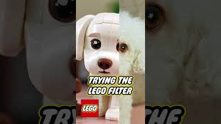 Lego Filter  Bolonka Zwetna Hund [upl. by Ormand]