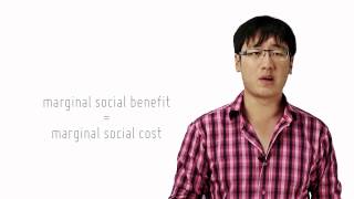 Allocative Efficiency Through Cost Benefit Analysis [upl. by Husein]