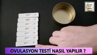 Ovulasyon Testi Nasıl Yapılır [upl. by Acirem82]