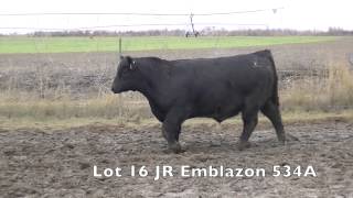 Lot 16 JR Emblazon 534A [upl. by Roxane]