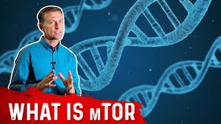 What is mTOR – DrBerg [upl. by Bergmann]