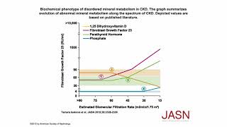 Phosphorus Part 4 Phosphate Homeostasis 3 [upl. by Javed]