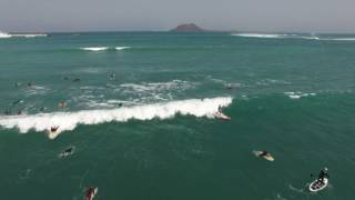 SHARKS IN CORRALEJO  FUERTEVENTURA [upl. by Atil]