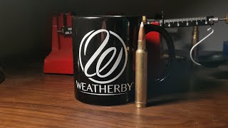 300 Weatherby Mag vs 300 Remington Ultra Mag [upl. by Eberly684]