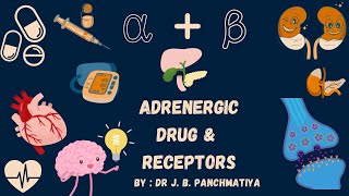 Adrenergic drugs Sympathomimetic drugs  Autonomic Pharmacology  By  Dr J B Panchmatiya [upl. by Espy]