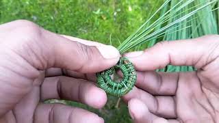 I dont buy gift making from pine needles  how to make pine needle basket [upl. by Blanchard]