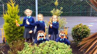 Irvinestown Primary School LipDub Let her Go Retirement Video 2017 [upl. by Salkin]