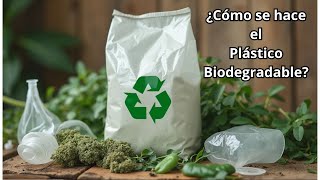 Cómo se Fabrica el Plástico Biodegradable Alternativas Ecológicas [upl. by Cram531]