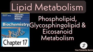 Lippincott Biochemistry  Chapter 18  Lipid Metabolism [upl. by Garges]