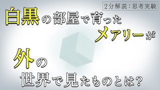 【思考実験】メアリーの部屋│クオリアの存在と物理主義に対する知識論法【古典解説】【パラドックス】 [upl. by Hsital]