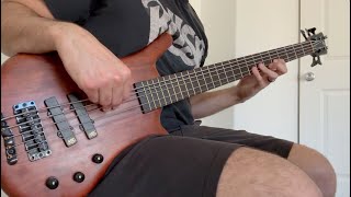 Pantera  Revolution Is My Name Bass Cover [upl. by Norford]