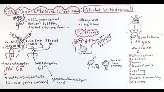 Alcohol Withdrawal Featuring Drunkbrain  One Minute Medical School [upl. by Lyrem]