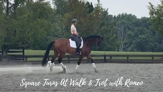 Jockey to the fair traditional setdance [upl. by Weatherby]