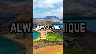 Galápagos Islands Surprising Facts [upl. by Gaye869]