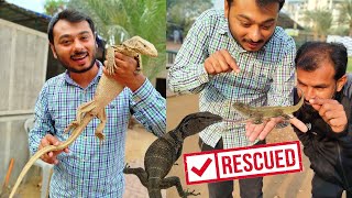 BARI CHIPKALI PAAl LI OR CHOTI LIZARD AZAAD KAR DI  RESCUED amp RELEASED 🛟 [upl. by Eemaj]