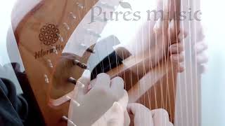 Hluru Lyre Harp 19string Hollow lyreharp hluru lyremusicinstrument hlurulyre hluruharp [upl. by Lello585]