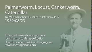 Palmerworm Locust Cankerworm Caterpillar William Branham 590823 [upl. by Hjerpe]