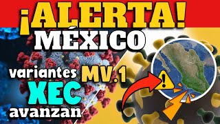 ALERTA EN MÉXICO  VARIANTES MV1 Y XEC AVANZAN [upl. by Roberson]