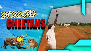 PROTEAS VS 11 CHEETAHS goprocricket indiavsengland newyear2024 coimbatore dhruvjurel [upl. by Hultgren]