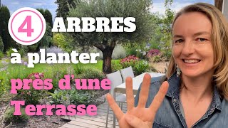 4 arbres à planter près d’une terrasse sans risques avec les racines [upl. by Aramoy]