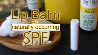 How to make an allnatural Lip Balm from scratch at home 5 ingredients [upl. by Drannel]