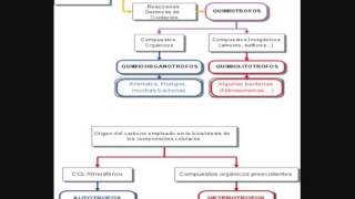 Biología  Funciones de nutrición en las bacterias [upl. by Evey748]